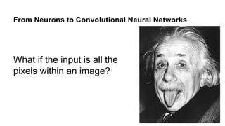 From Neurons to Convolutional Neural Networks
What if the input is all the
pixels within an image?
5
 