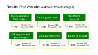 Parasite: 420
No-parasite: 420
Parasite: 420
No-parasite: 1528
Parasite: 105
No-parasite: 382
Parasite: 300
No-parasite: 300
Parasite: 300
No-parasite: 22336
Parasite: 75
No-parasite: 5584
Results: Data Available (extracted from 38 images)
 
