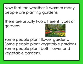Now that the weather is warmer many
people are planting gardens.
There are usually two different types of
gardens.
Some people plant flower gardens.
Some people plant vegetable gardens.
Some people plant both flower and
vegetable gardens.
 