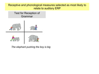 Test for Reception of
Grammar
The elephant pushing the boy is big
Receptive and phonological measures selected as most likely to
relate to auditory ERP
 