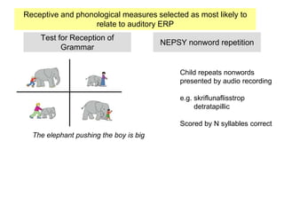 Test for Reception of
Grammar
The elephant pushing the boy is big
NEPSY nonword repetition
Child repeats nonwords
presented by audio recording
e.g. skriflunaflisstrop
detratapillic
Scored by N syllables correct
Receptive and phonological measures selected as most likely to
relate to auditory ERP
 