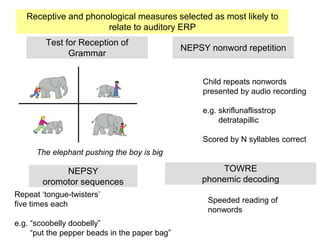 Test for Reception of
Grammar
The elephant pushing the boy is big
NEPSY nonword repetition
Child repeats nonwords
presented by audio recording
e.g. skriflunaflisstrop
detratapillic
Scored by N syllables correct
NEPSY
oromotor sequences
Repeat ‘tongue-twisters’
five times each
e.g. “scoobelly doobelly”
“put the pepper beads in the paper bag”
TOWRE
phonemic decoding
Speeded reading of
nonwords
Receptive and phonological measures selected as most likely to
relate to auditory ERP
 