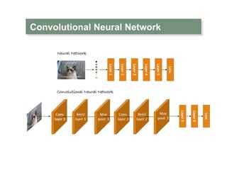 Convolutional Neural Network
 