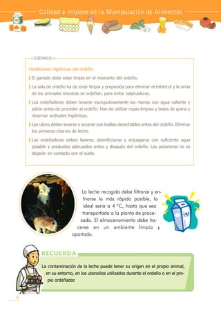 La leche recogida debe filtrarse y en-
friarse lo más rápido posible, lo
ideal sería a 4 ºC, hasta que sea
transportada a la planta de proce-
sado. El almacenamiento debe ha-
cerse en un ambiente limpio y
apartado.
Calidad e Higiene en la Manipulación de Alimentos
Condiciones higiénicas del ordeño
O El ganado debe estar limpio en el momento del ordeño.
O La sala de ordeño ha de estar limpia y preparada para eliminar el estiércol y la orina
de los animales mientras se ordeñan, para evitar salpicaduras.
O Los ordeñadores deben lavarse escrupulosamente las manos con agua caliente y
jabón antes de proceder al ordeño. Han de utilizar ropas limpias y botas de goma y
observar actitudes higiénicas.
O Las ubres deben lavarse y secarse con toallas desechables antes del ordeño. Eliminar
los primeros chorros de leche.
O Las ordeñadoras deben lavarse, desinfectarse y enjuagarse con suficiente agua
potable y productos adecuados antes y después del ordeño. Las pezoneras no se
dejarán en contacto con el suelo.
• EJEMPLO •
La contaminación de la leche puede tener su origen en el propio animal,
en su entorno, en los utensilios utilizados durante el ordeño o en el pro-
pio ordeñador.
4-+7-4,)
6
 