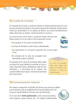 D La etapa de envasado
El envasado de la leche y productos lácteos se realiza generalmente en enva-
ses parcialmente formados en los propios equipos de envasado, donde previa-
mente son esterilizados. En la cadena se llenan y se cierran herméticamente.
Todas estas fases se realizan mecánicamente en continuo.
La contaminación de la leche o productos lácteos durante esta
etapa puede ocurrir por alguna de las siguientes causas:
w Los equipos no funcionan correctamente.
w La línea de llenado no está limpia y desinfectada.
w Los operadores no manipulan siguiendo las normas higié-
nicas.
w El ambiente de la sala de envasado tiene
demasiada carga microbiana.
El operador de la zona de envasado debe vigilar
la producción para detectar anomalías en los en-
vases: abombamientos, abolladuras, falta de her-
meticidad..., y eliminarlos de la cadena. Por
supuesto debe actuar según unas buenas prácticas
de manipulación.
E El almacenamiento industrial
Esta etapa corresponde al periodo de tiempo que transcurre desde
que el producto sale ya acabado de la línea de elaboración has-
ta que se expide desde el almacén para ser distribuido.
En el caso de la leche pasterizada y otros productos lácteos,
como yogures, quesos frescos, etc., los riesgos fundamentales
11
Leche y derivados
La zona de envasado
debe estar aislada del
resto de la fábrica para
minimizar el riesgo de
contaminación.
 