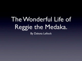 The Wonderful Life of
 Reggie the Medaka.
      By Dakota Lellock
 