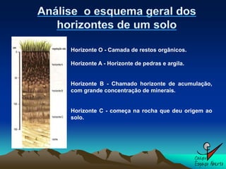 Horizonte O - Camada de restos orgânicos.

Horizonte A - Horizonte de pedras e argila.


Horizonte B - Chamado horizonte de acumulação,
com grande concentração de minerais.


Horizonte C - começa na rocha que deu origem ao
solo.
 