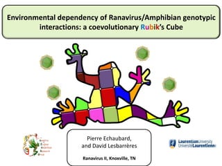 Pierre Echaubard,
and David Lesbarrères
Ranavirus II, Knoxville, TN
Environmental dependency of Ranavirus/Amphibian genotypic
interactions: a coevolutionary Rubik’s Cube
 