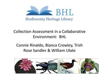 Collection Assessment in a Collaborative
Environment: BHL
Connie Rinaldo, Bianca Crowley, Trish
Rose Sandler & William Ulate

 