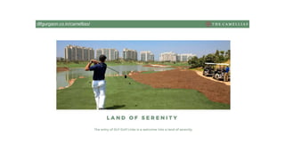 DLF - THE CAMELLIAS PPTX