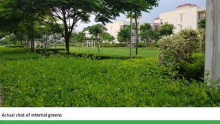 Actual shot of internal greens
 