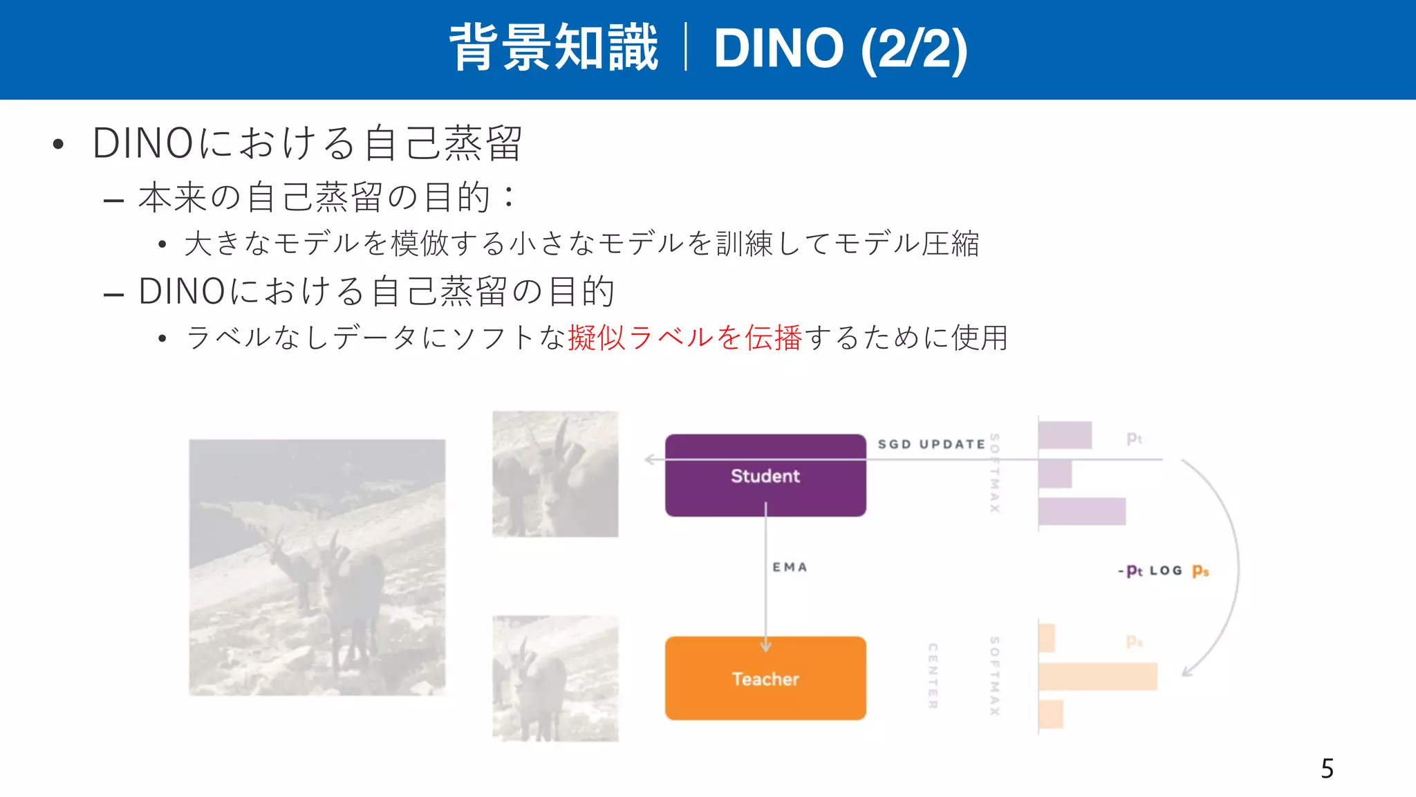 背景知識｜DINO (2/2)
• DINOにおける⾃⼰蒸留
– 本来の⾃⼰蒸留の⽬的：
• ⼤きなモデルを模倣する⼩さなモデルを訓練してモデル圧縮
– DINOにおける⾃⼰蒸留の⽬的
• ラベルなしデータにソフトな擬似ラベルを伝播するために使⽤
5
 