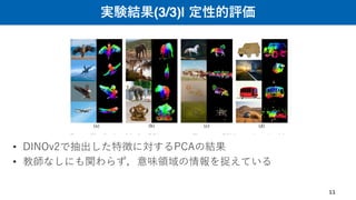実験結果(3/3)| 定性的評価
11
• DINOv2で抽出した特徴に対するPCAの結果
• 教師なしにも関わらず，意味領域の情報を捉えている
 