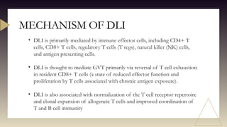 MECHANISM OF DLI
• DLI is primarily mediated by immune effector cells, including CD4+ T
cells, CD8+ T cells, regulatory T cells (T regs), natural killer (NK) cells,
and antigen presenting cells.
• DLI is thought to mediate GVT primarily via reversal of T cell exhaustion
in resident CD8+ T cells (a state of reduced effector function and
proliferation by T cells associated with chronic antigen exposure).
• DLI is also associated with normalization of the T cell receptor repertoire
and clonal expansion of allogeneic T cells and improved coordination of
T and B cell immunity
 