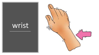 wrist
 