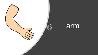 arm
 