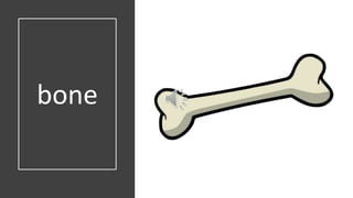 bone
 
