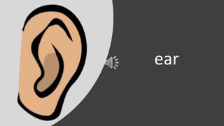 ear
 