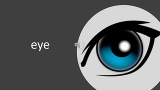 eye
 