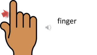 finger
 