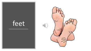 feet
 