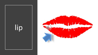 lip
 