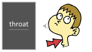throat
 