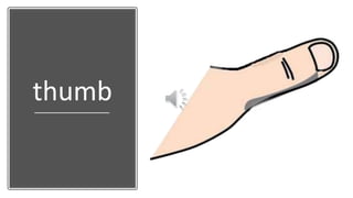 thumb
 