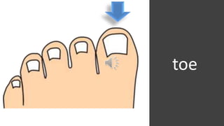 toe
 