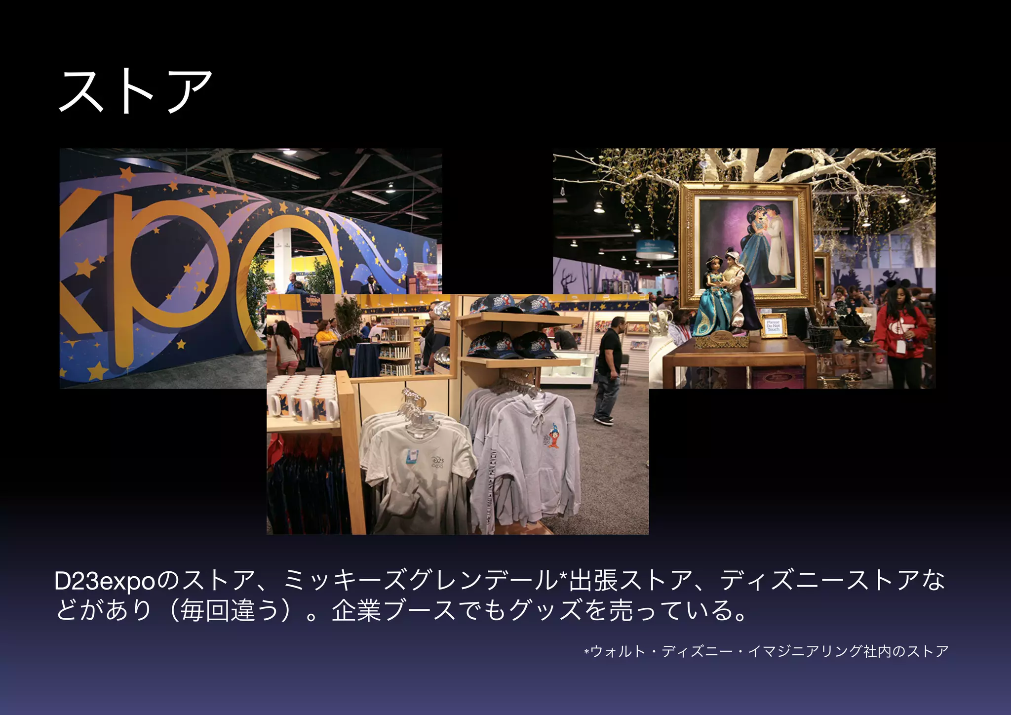 D23 Expo 入門