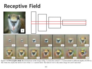 Receptive Field
263
 