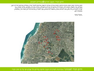 תחנה מרכזית ישנה ,  תחנה מרכזית חדשה ,  תחנות מוניות ,  מגרשי גרוטאת ,  מגרשים לחומרי בניין ,  מזבלות ,  מגרשים לגרירת רכב ,  מפעלים ,  בתי מלאכה ,  תחנות דלק ,  תחנות דלק פיראטיות ,  מגורים פיראטיים ,  מגרשי מכוניות ,  מחסנים ,  מגרשי מתכות ,  בתי קברות למכוניות ,  בית כלא ,  מכון לנתיחת גופות ,  מרפאות לנרקומנים ,  מבני תעשייה ,  כבישים מהירים ,  שטחי בור ,  משחטות ,  משחטות רכב . והכול מותר . דרום העיר :  המצב הקיים – מטרדים וחסמים 