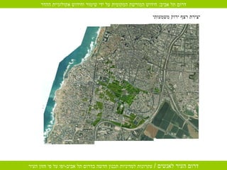 יצירת רצף ירוק משמעותי דרום תל אביב :  חידוש המורשת המקומית על ידי שימור וחידוש אקולוגיית ההדר 