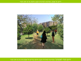 דרום תל אביב :  עקרונות למדיניות תכנון חדשה על פי חזון העיר 