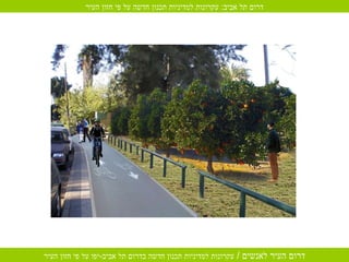 דרום תל אביב :  עקרונות למדיניות תכנון חדשה על פי חזון העיר 