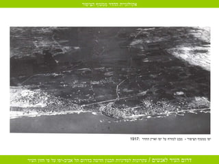 1917:  יפו ממעוף הציפור  -  מבט למזרח על יפו וארץ ההדר  אקולוגיית ההדר ממעוף הציפור 
