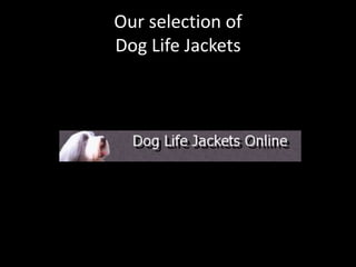 Our selection ofDog Life Jackets 