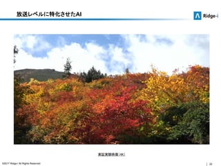 22©2017 Ridge-i All Rights Reserved.
放送レベルに特化させたAI
実証実験映像（4K）
 
