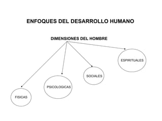 ENFOQUES DEL DESARROLLO HUMANO DIMENSIONES DEL HOMBRE FISICAS PSICOLOGICAS SOCIALES ESPIRITUALES 