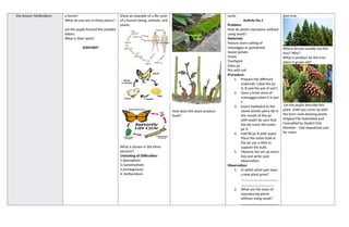 the lesson/ Motivation) a forest?
What do you see in these places?
Let the pupils formed the jumbles
letters.
What is their work?
SONTABTI
Show an example of a life cycle
of a human being, animals, and
plants.
What is shown in the three
pictures?
Unlocking of Difficulties:
1.Sporophyte
2.Gametophyte
3.Archegonium
4. Antheridium
How does this plant produce
itself?
cards.
Activity No.1
Problem:
How do plants reproduce without
using seeds?
Materials:
Mature stem cutting of
malunggay or gumamela
Sweet potato
Onion
Toothpick
Glass jar
Pot with soil
Procedure:
1. Prepare the different
materials. Label the jar
A, B and the pot of soil C
2. Have a fresh stem of
malunggay plant it in pot
C
3. Insert toothpick to the
sweet potato place tip in
the mouth of the jar
with water be sure that
the tip reach the water
jar A
4. Half fill jar B with water
Place the onion bulb in
the jar use a stick to
support the bulb.
5. Observe the set up every
day and write your
observation
Observation:
1. In which plant part does
a new plant grow?
____________________
__________________
2. What are the ways of
reproducing plants
without using seeds?
____________________
pine tree.
Where do you usually see this
tree? Why?
What is produce by this tree
when it grows old?
Let the pupils describe this
plant. Until you come up with
the term cone-bearing plants
Original File Submitted and
Formatted by DepEd Club
Member - visit depedclub.com
for more
 