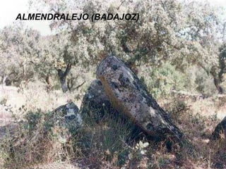 ALMENDRALEJO (BADAJOZ) 