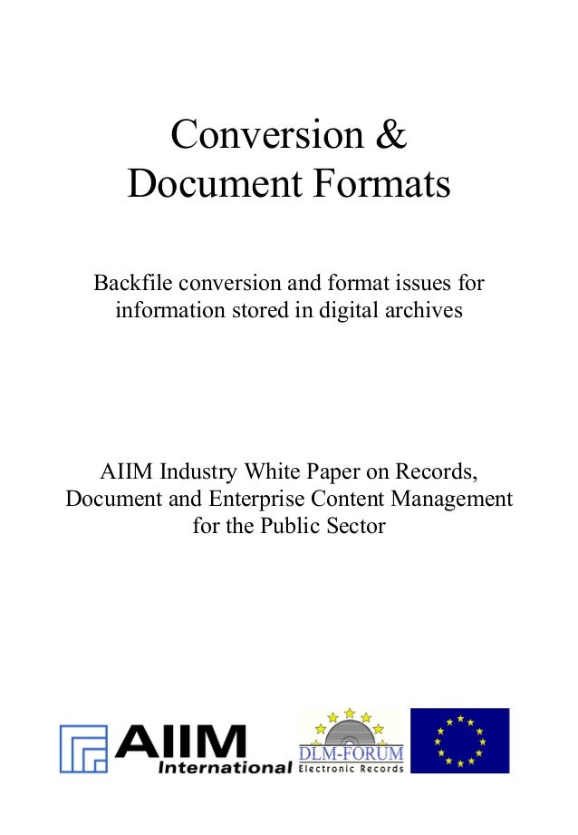 en conversion document formats dlm forum industry whitepaper 02 format issues