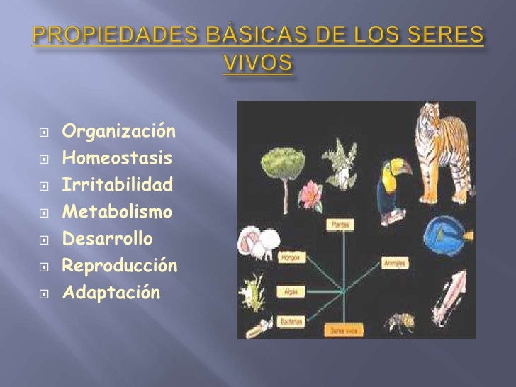 Imagenes De Las Propiedades De Los Seres Vivos