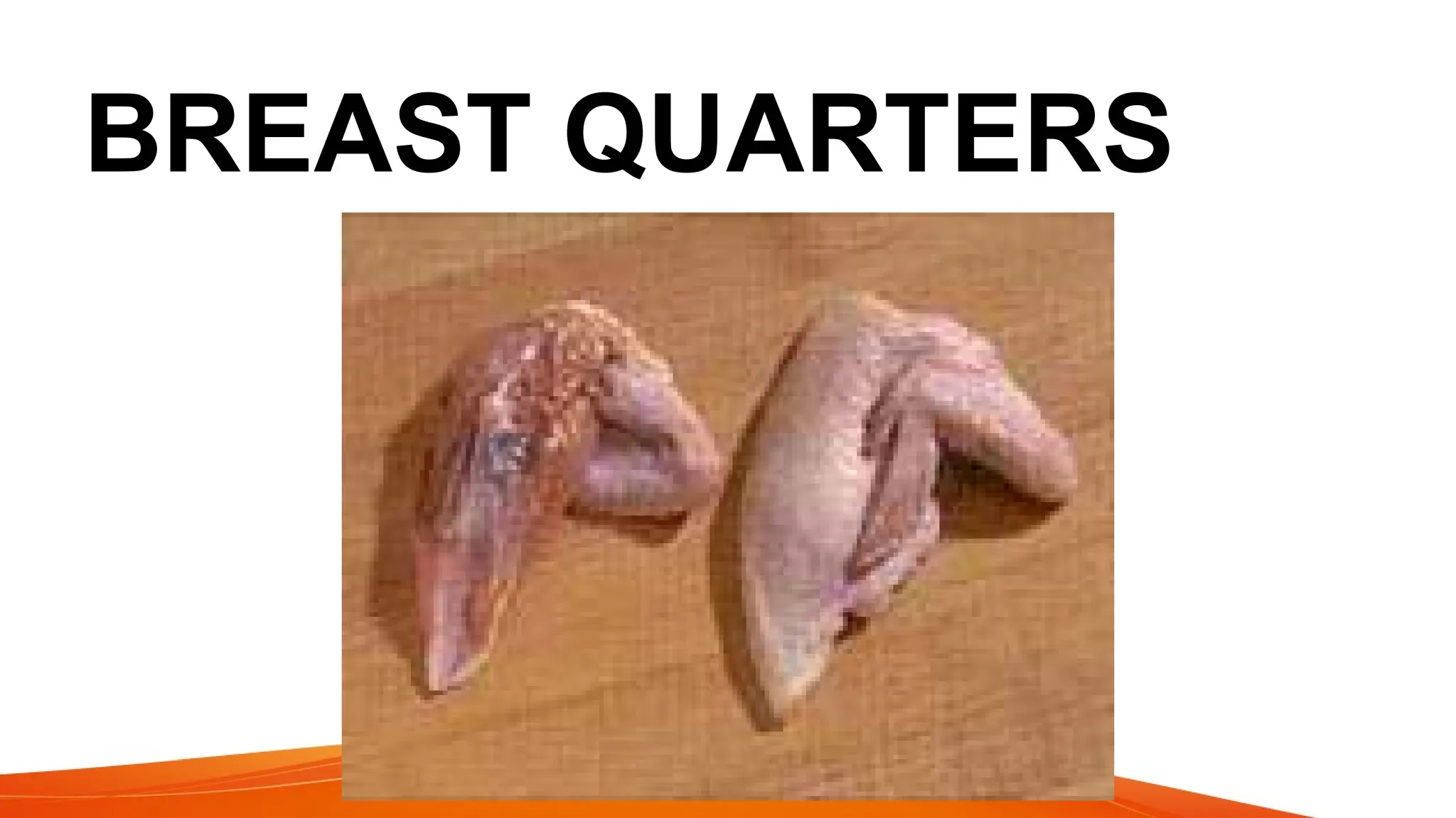 BREAST QUARTERS