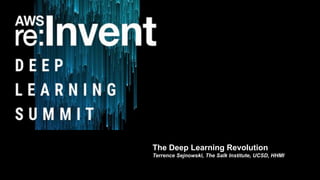 The Deep Learning Revolution
Terrence Sejnowski, The Salk Institute, UCSD, HHMI
 