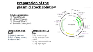 Preparation of the
plasmid stock solution.
Solution preparation
1) Agar (37gm/L)
2) LB Broth(25gm/L)
3) Glycerol(50% v/v)
4) Ampicillin(100mg/mL)
Composition of LB
Broth
1)10g/L of tryptone,
2) 5g/L of yeast extract,
3)10g/L of NaCl
Composition of LB
Agar
•5.0 g yeast extract
•10.0 g peptone from
casein
•10.0 g sodium chloride
•12.0 g agar-agar
 