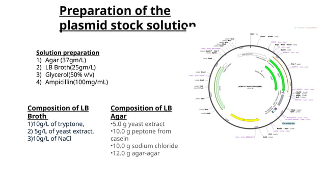 DLS instrumentaion with plasmid stock prepration | PPTX