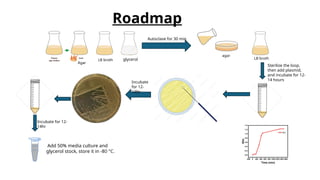 Roadmap
LB broth
Autoclave for 30 min
agar
Sterilize the loop,
then add plasmid,
and incubate for 12-
14 hours
Incubate
for 12-
14hr
Incubate for 12-
14hr
glycerol LB broth
Agar
Add 50% media culture and
glycerol stock, store it in -80 °C.
 