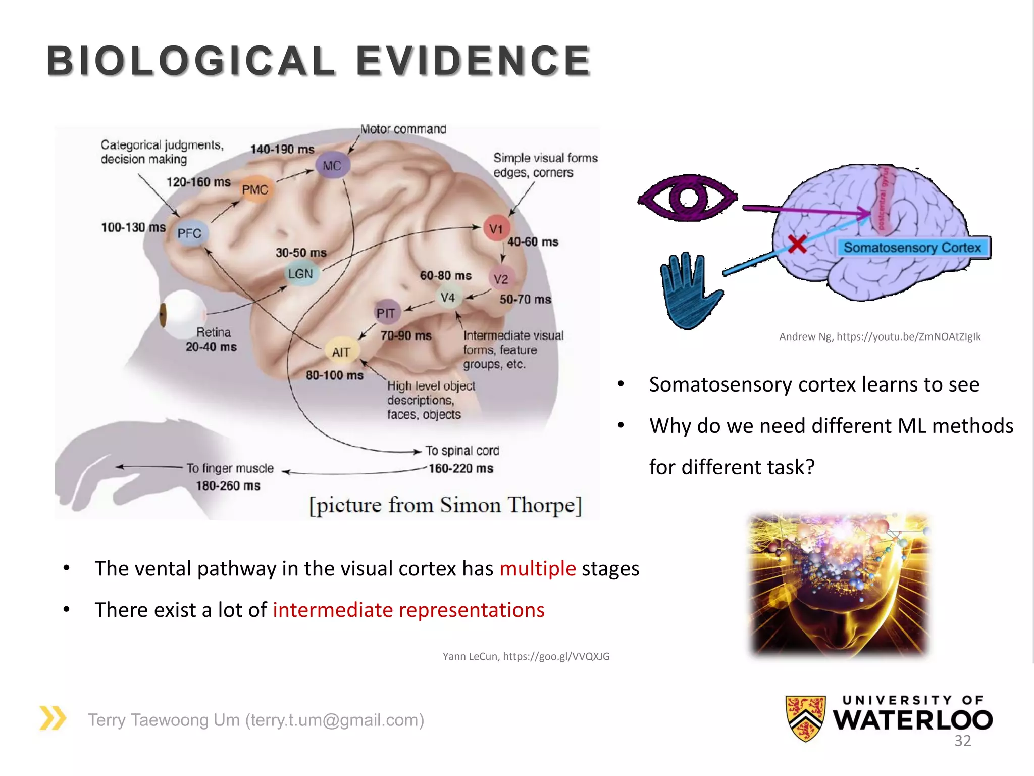 Terry Taewoong Um (terry.t.um@gmail.com)
32
BIOLOGICAL EVIDENCE
• Somatosensory cortex learns to see
• Why do we need different ML methods
for different task?
Yann LeCun, https://goo.gl/VVQXJG
• The vental pathway in the visual cortex has multiple stages
• There exist a lot of intermediate representations
Andrew Ng, https://youtu.be/ZmNOAtZIgIk
 