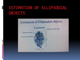 ESTIMATION OF ELLIPSODIAL
OBJECTS
 